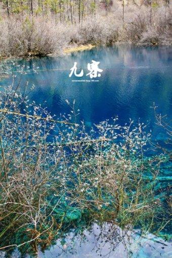 汽车改气后现在发抖怎么回事